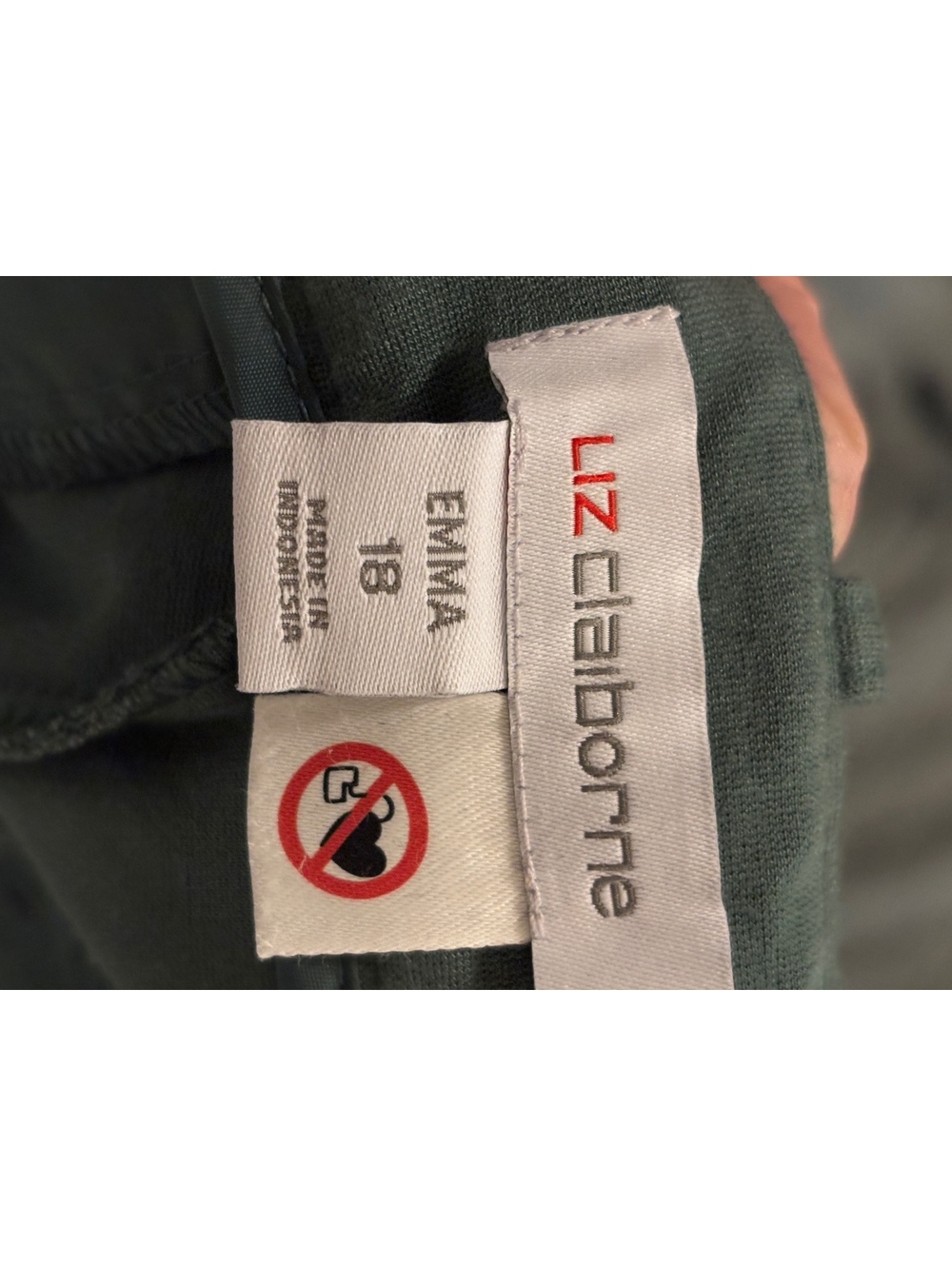 Liz Claiborne Emma Adaptive Women's Size 18 Green Dress Pants